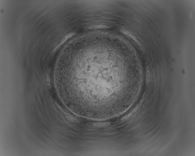 X0000074031305200608281410