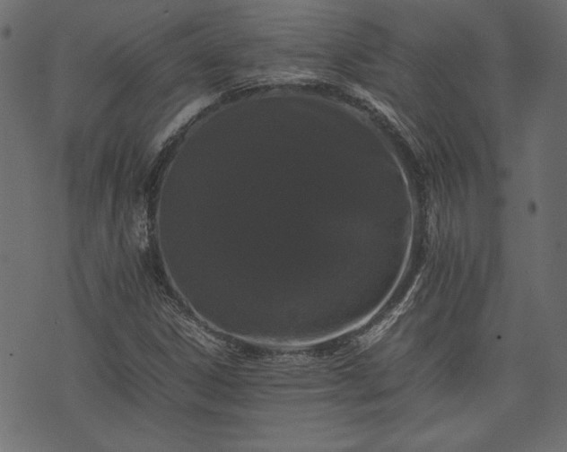 X0000074031306200608281410