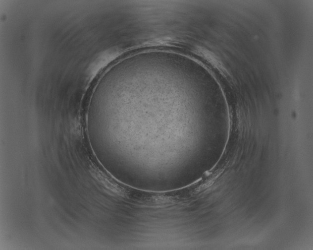 X0000074031308200608281410