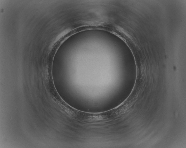X0000074031315200608281410