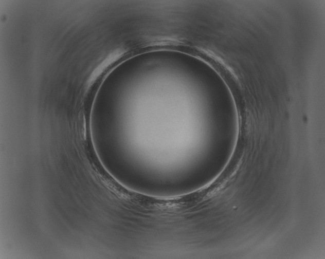 X0000074031317200608281410