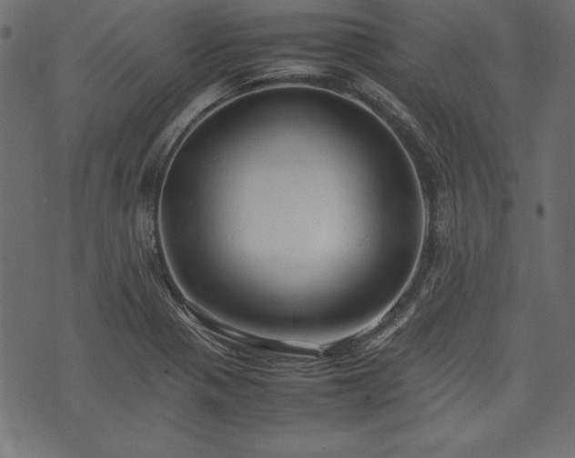 X0000074031321200608281410
