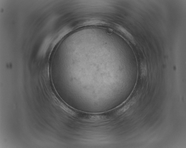 X0000074031322200608281410