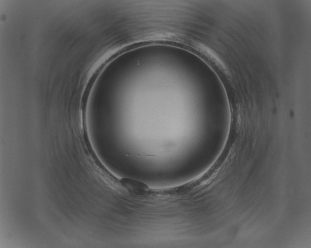 X0000074031324200608281410