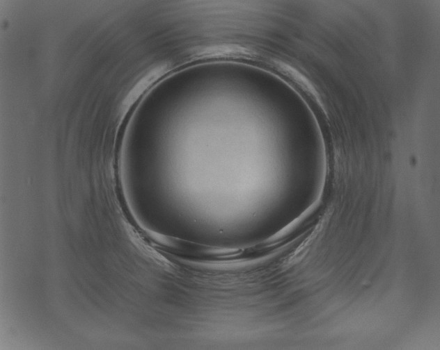 X0000074031330200608281410
