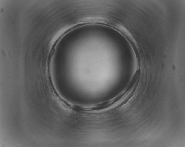 X0000074031336200608281410