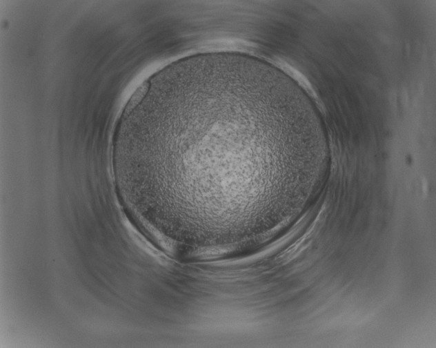 X0000074031342200608281410