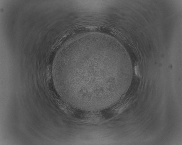 X0000074031347200608281409