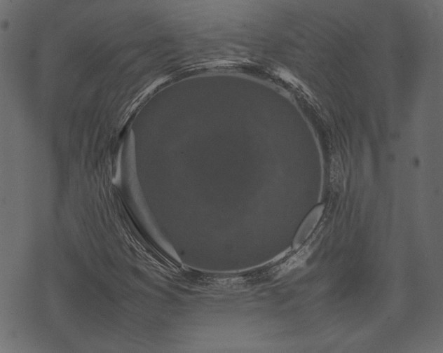 X0000074031353200608281409