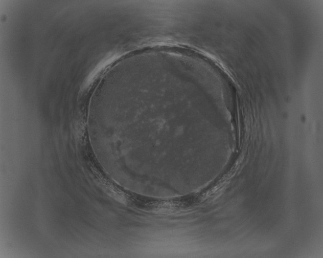 X0000074031359200608281409