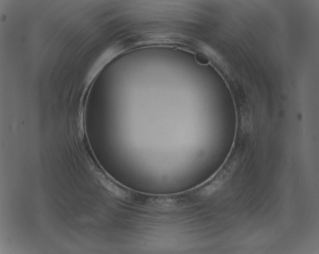X0000074031370200608281409