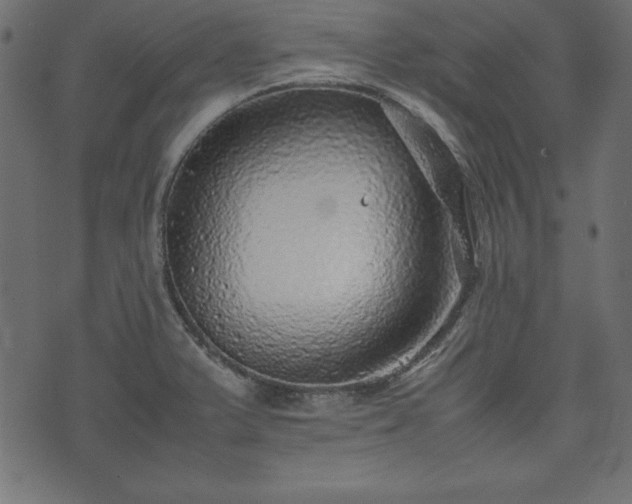 X0000074031375200608281409