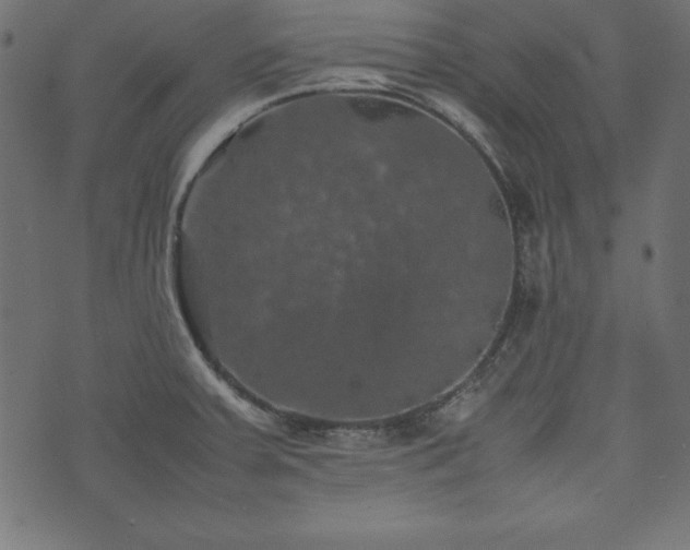 X0000074031379200608281409
