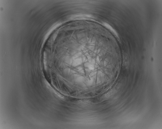 X0000074031384200608281409