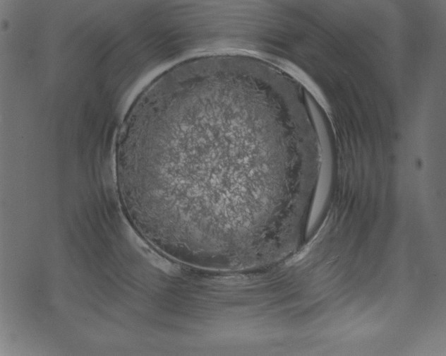 X0000074031388200608281409