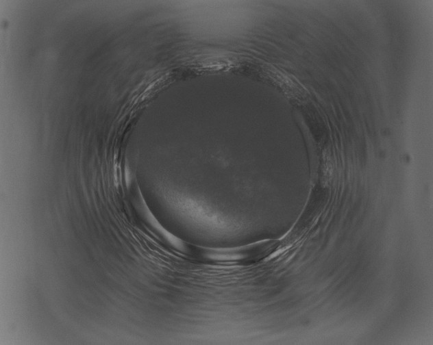 X0000074031394200608281408