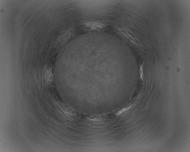 X0000074031395200608281408