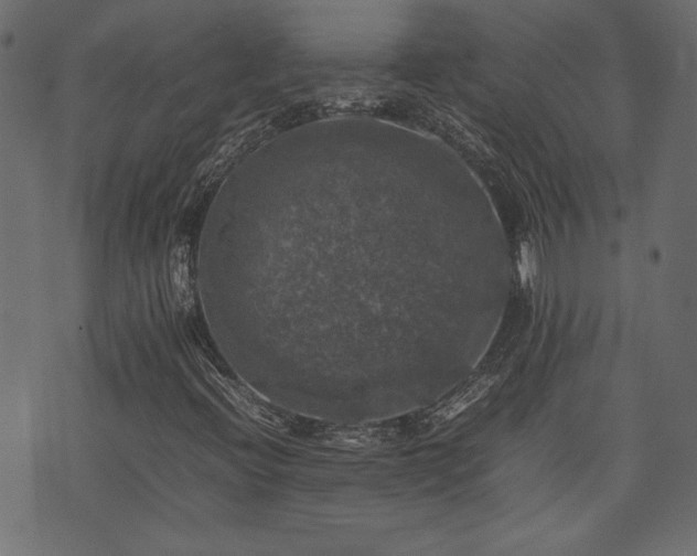 X0000074031396200608281408