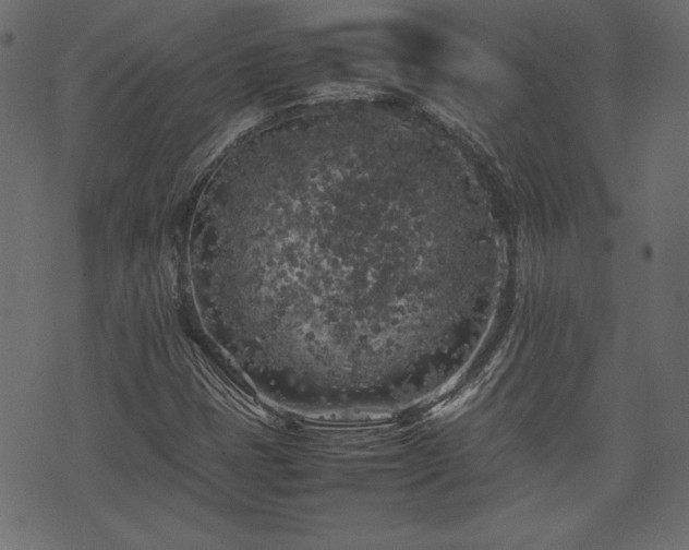 X0000074031401200608281408