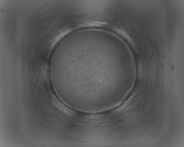 X0000074031404200608281408