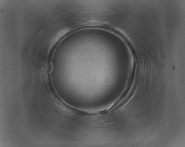 X0000074031410200608281408