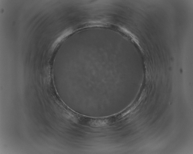 X0000074031411200608281408