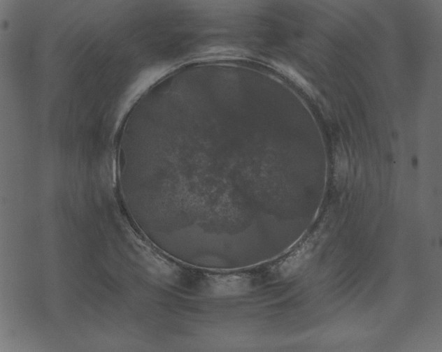 X0000074031413200608281408