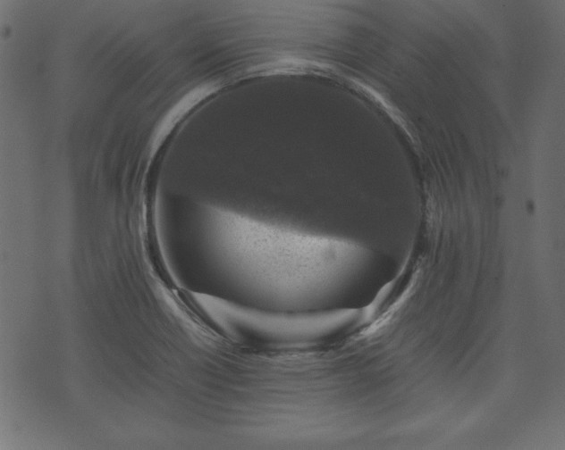 X0000074031418200608281408