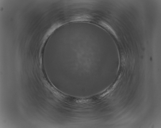 X0000074031419200608281408