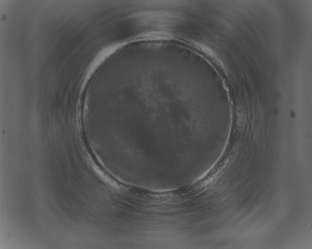 X0000074031421200608281408