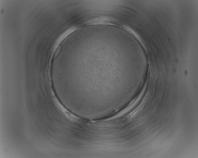 X0000074031434200608281409