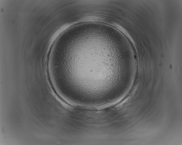 X0000074031437200608281409