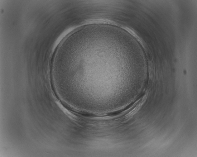 X0000074031438200608281409