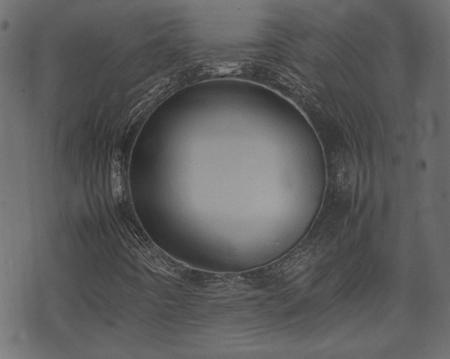 X0000074031442200608281408