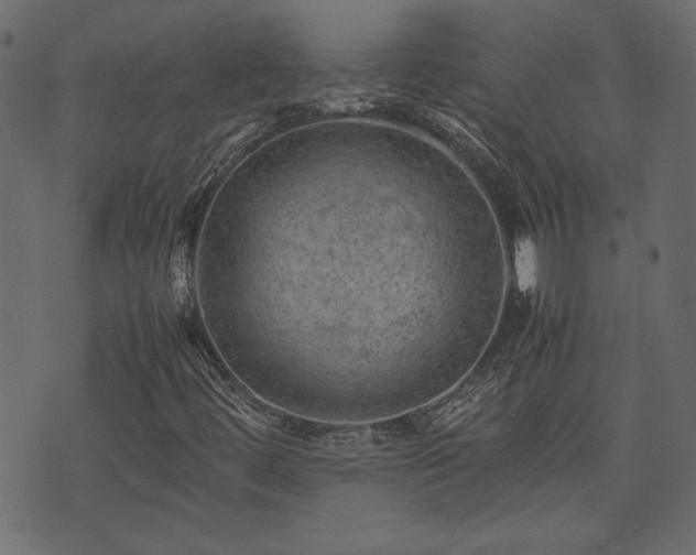 X0000074031444200608281408