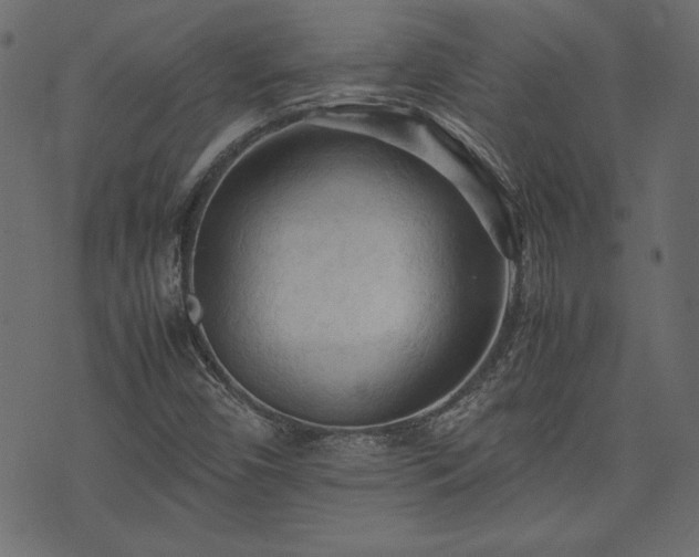 X0000074031450200608281408