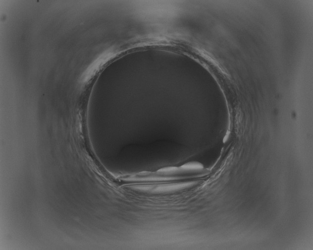 X0000074031455200608281408