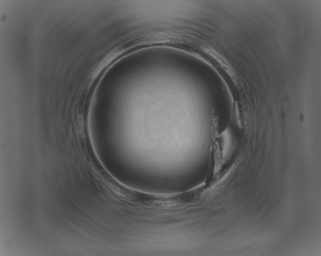 X0000074031465200608281407