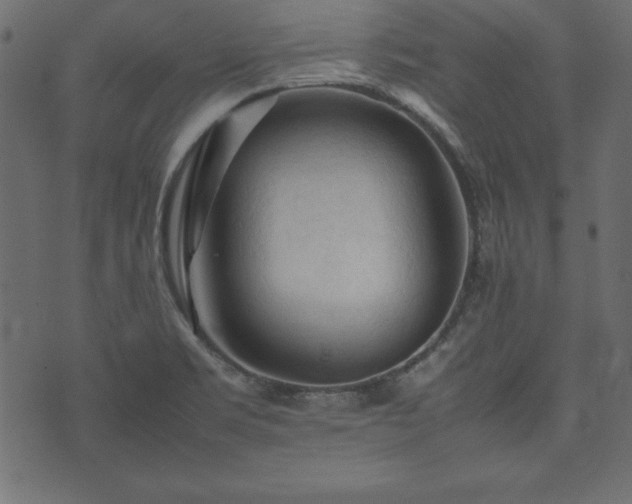 X0000074031469200608281407