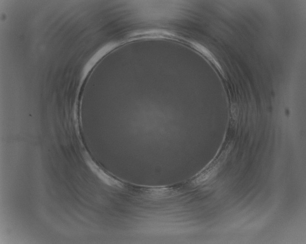 X0000074031482200608281407