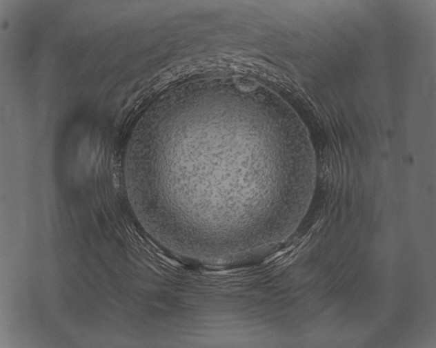 X0000074031490200608281406