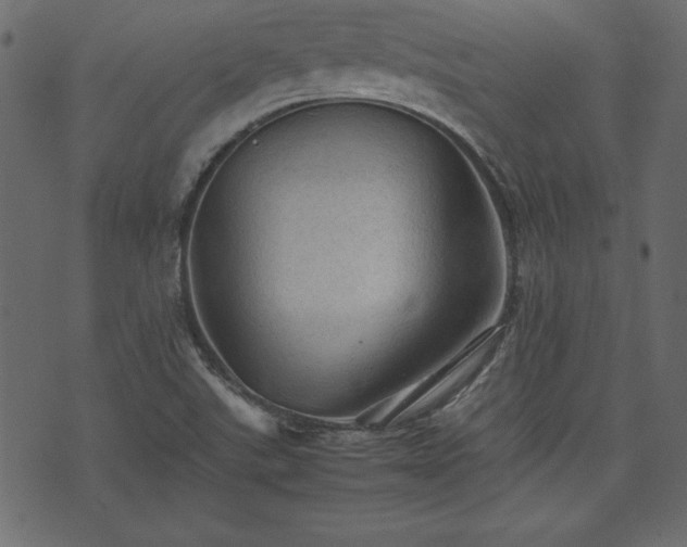 X0000074031507200608281407