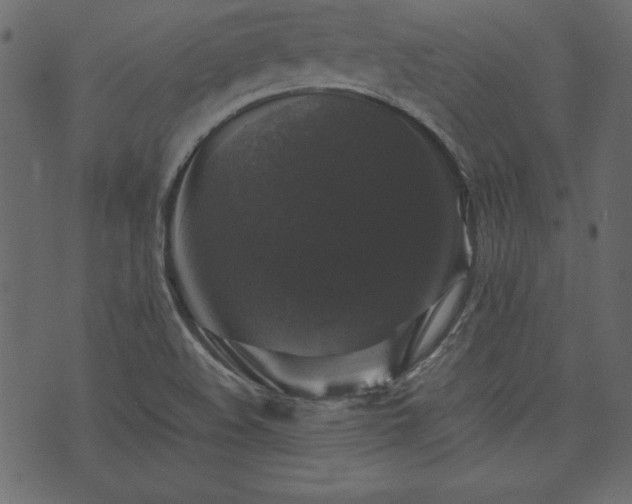 X0000074031508200608281407