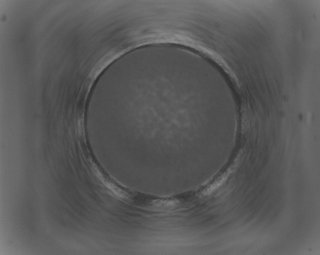 X0000074031513200608281407