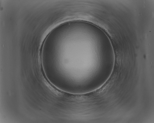 X0000074031516200608281407