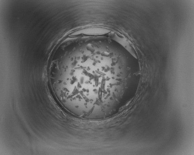 X0000074030002200609061154