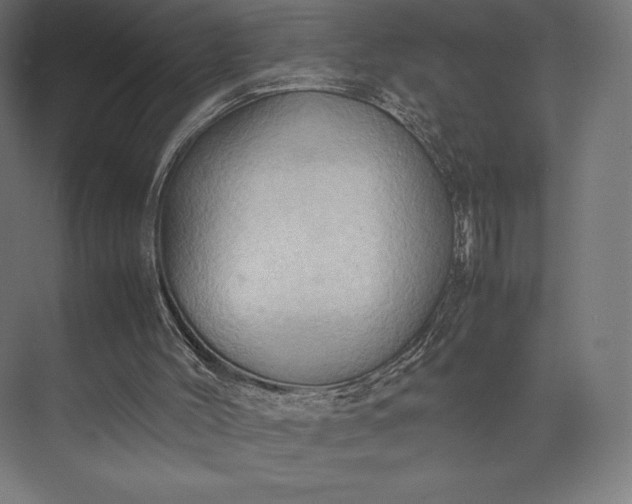 X0000074030004200609061153