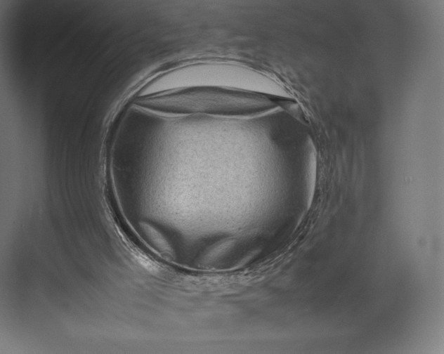 X0000074030005200609061153