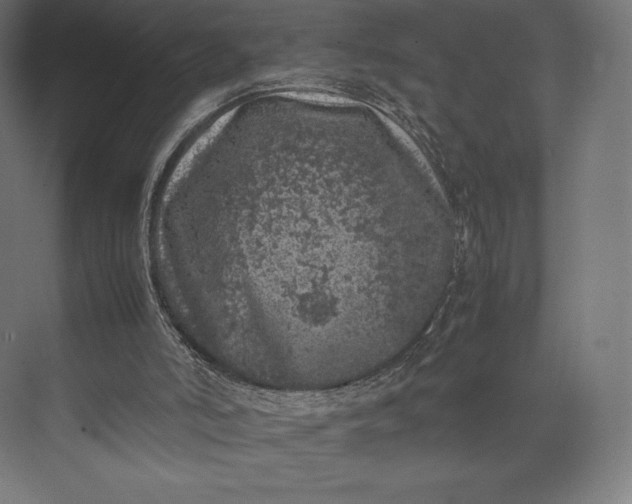 X0000074030006200609061153