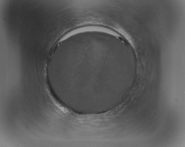 X0000074030009200609061153